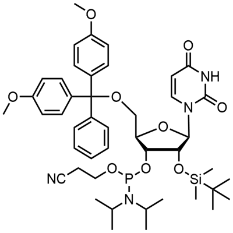 DMT-2′O-TBDMS-rU 亚磷酰胺